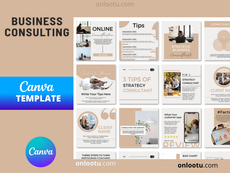 Business Consultant Instagram Template Bundle