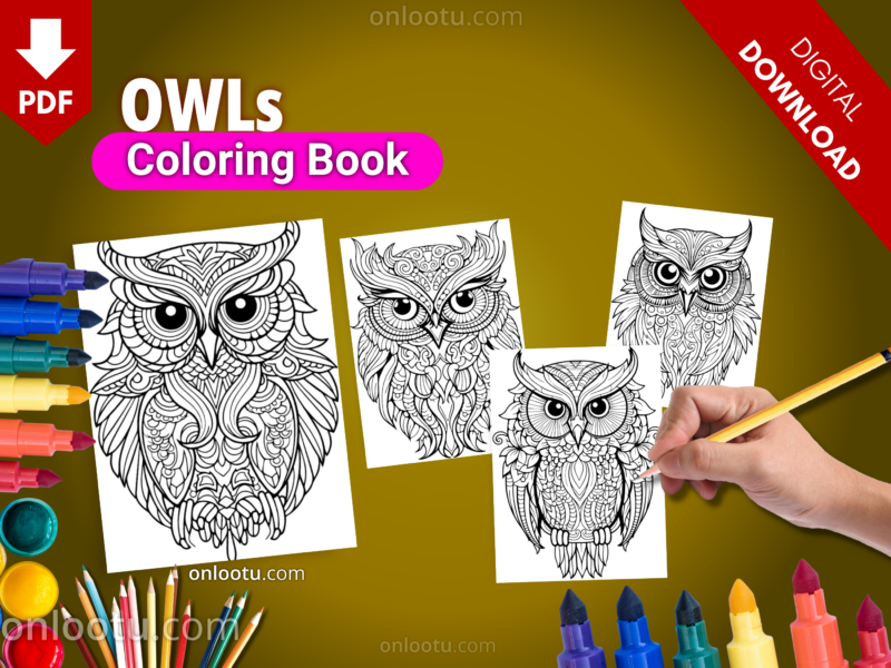 OWLs Coloring Book