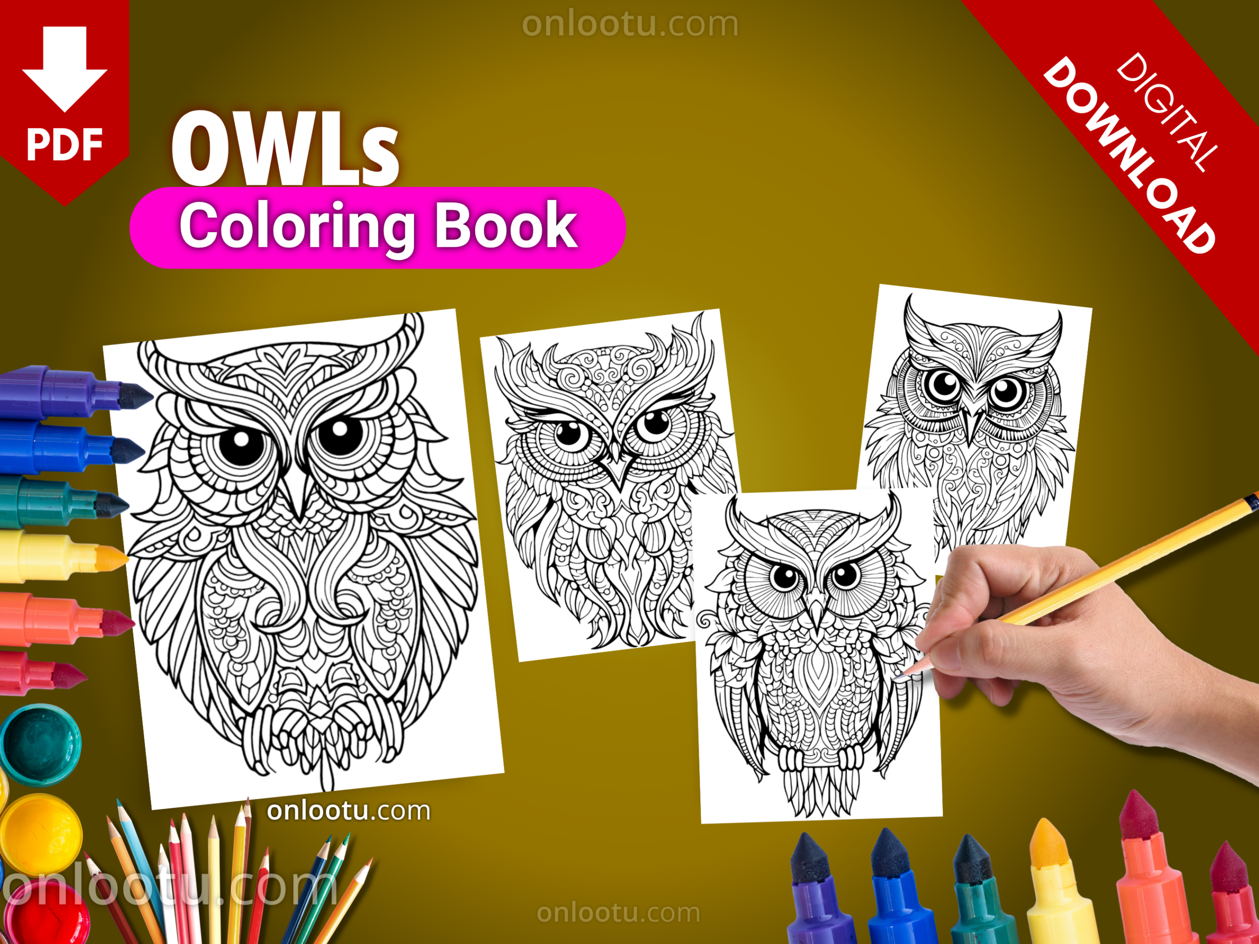 OWLs Coloring Book